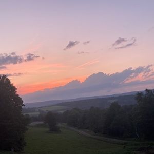 Meet your Posher, Alana